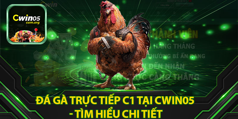 Đá Gà Trực Tiếp C1 Tại Cwin05 - Tìm Hiểu Chi Tiết