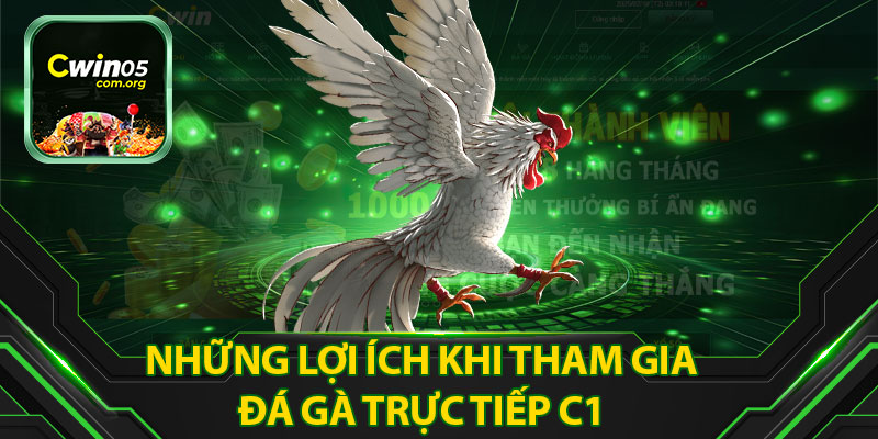 Những Lợi Ích Khi Tham Gia Đá Gà Trực Tiếp C1