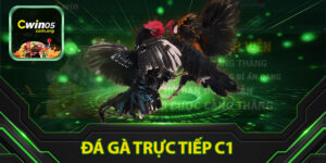 Đá Gà Trực Tiếp C1