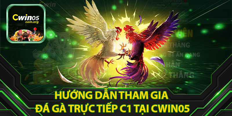 Hướng Dẫn Tham Gia Đá Gà Trực Tiếp C1