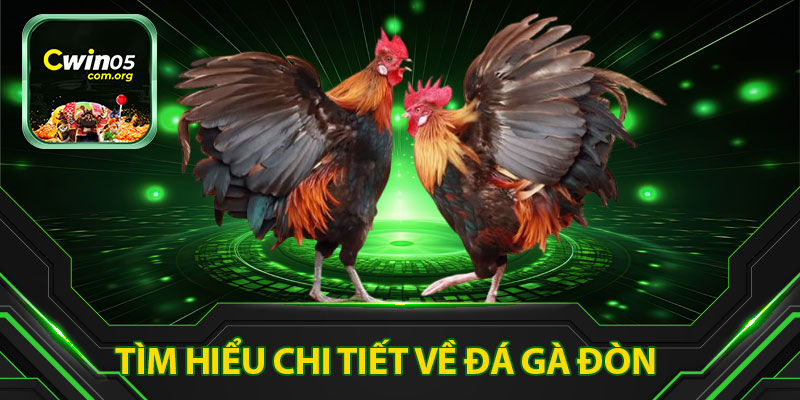 Tìm Hiểu Chi Tiết Về Đá Gà Đòn 