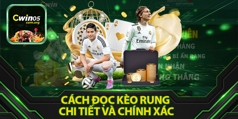 Cách Đọc Kèo Rung Chính Xác: Hướng Dẫn Từng Bước Chi Tiết